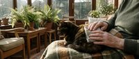 Elderly person sitting indoors with a tabby cat on their lap, cozy home setting with green plants and warm natural light.