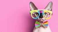 French bulldog wearing colorful rainbow glasses and bow tie on pink background, trendy pet portrait for creative design projects.