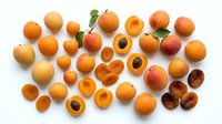 Apricots whole and halved with pits displayed on white background, suitable for food photography, culinary design, nutrition content, and recipe illustrations.