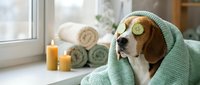 Relaxed beagle dog enjoying spa treatment with cucumber slices on eyes, wrapped in mint green towel near bathroom window with candles and rolled towels.