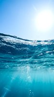 Crystal clear turquoise ocean water with sunlight rays penetrating underwater surface creating ripples and bubbles in tropical marine environment.