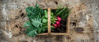 Fresh organic radishes with green leaves in wooden crate on rustic background for healthy eating and farm-to-table cooking concepts.