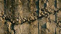 Footprints in sandy soil with tire tracks and natural earth texture, suitable for environmental, agricultural, or outdoor project backgrounds.