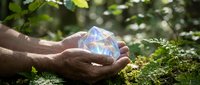Hands gently holding transparent crystal sphere in lush green forest setting with natural sunlight filtering through leaves creating magical atmosphere.