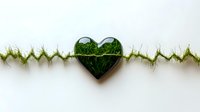 Green heart shape filled with grass against white background, connected by zigzag grass line, representing nature, love and environmental care concept.