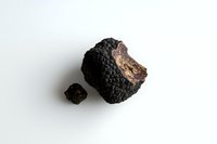 Fresh black winter truffle and small piece on white background, luxury seasonal mushroom delicacy isolated for culinary and gastronomy designs.