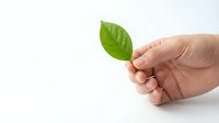 Hand holding fresh green leaf on white background symbolizing environmental care, sustainability and eco-friendly lifestyle choices for nature conservation.