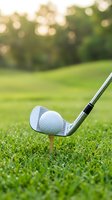 Golf club and white ball on tee positioned on green grass course with blurred trees background ready for shot during sunny day outdoor sports activity.