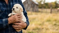 Farmer in plaid shirt holding young cream-colored Labrador puppy on rural property with blurred barn and fenced pasture background.