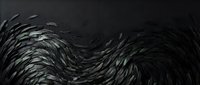 Abstract black feathers flowing in dynamic wave pattern creating elegant texture for luxury design projects and artistic backgrounds.