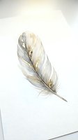 Watercolor feather painting with delicate gold accents on white paper, soft neutral tones for home decor and artistic projects.