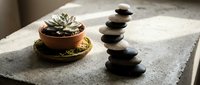 Balanced stack of black and white zen stones beside a small succulent in a clay pot on a concrete surface in soft natural light.