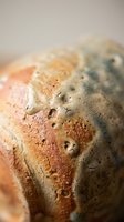 Moldy bread slice with green and black fungus growth showing food spoilage and contamination for health education and food safety awareness concepts.