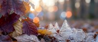 Autumn leaves and ice crystals create magical winter transition scene with warm bokeh lights in background for seasonal design projects.