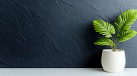 Minimalist green tropical plant in white ceramic pot against dark textured wall background with copy space. Modern home decor and interior design concept.