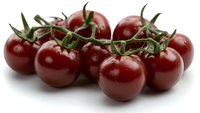 Fresh ripe cherry tomatoes with green stems clustered together on white background, isolated food photography for culinary and packaging design.