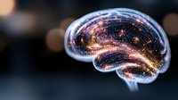 Glowing brain silhouette with luminous neural network connections on dark background showing intelligence and cognitive function concept for neuroscience research.