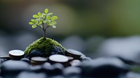 Small green tree growing on moss-covered rock with scattered coins around, symbolizing financial growth, investment and sustainable development concept.
