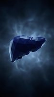 Low poly human liver organ with geometric faceted design floating in dark blue medical background for healthcare and anatomy education.