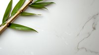 Fresh bamboo stem with green leaves on white marble background, minimalist oriental spa composition with copy space for wellness and meditation design.