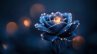Glowing blue rose with water drops and bokeh lights in dark background creates magical atmosphere for romantic and fantasy designs.
