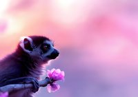 Ring-tailed lemur holding pink flower against dreamy purple and pink bokeh background, side profile view showcasing distinctive striped tail and expressive eyes.