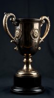 Elegant golden trophy cup with ornate handles and decorative medallions on black base, symbolizing victory, achievement and success in competition.