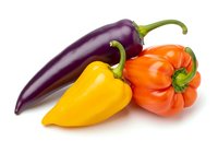 Fresh eggplant, yellow and orange bell peppers isolated on white background. Colorful vegetables for cooking, healthy eating, nutrition and culinary design projects.