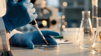Scientist in blue gloves conducting laboratory research with pipette and petri dish in modern lab setting with glassware and equipment.