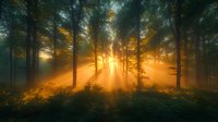 Mystical forest landscape with golden sunbeams piercing through morning fog and tall tree silhouettes creating dramatic light rays in misty woodland atmosphere.