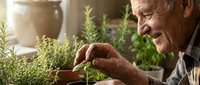 Senior Caucasian man tending to fresh herbs in rustic kitchen setting with warm natural lighting and clay pottery creating cozy culinary atmosphere.