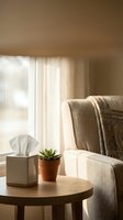 Cozy living room interior with armchair, succulent plant and tissue box on wooden table near window with warm natural sunlight streaming through curtains.