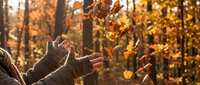 Person in warm clothing tossing golden autumn leaves in forest during fall season, capturing seasonal joy and outdoor leisure activities.
