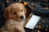 Golden retriever puppy lying with smartphone against dark background with bokeh lights, creating magical cozy atmosphere for social media and pet blogs.