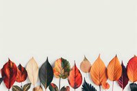 Colorful autumn leaves arranged in row on white background showing seasonal transition from green to vibrant red and orange hues. Natural fall foliage display.
