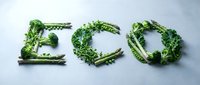 Word ECO made from fresh green vegetables including broccoli, asparagus, peas and kale on light gray background, healthy lifestyle concept.