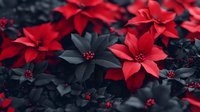Red poinsettia flowers with dramatic black and gray tones create moody holiday atmosphere. Festive floral composition with selective color effect for seasonal designs.