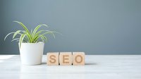 Wooden blocks spelling SEO on a white table with a green plant and gray background, symbolizing digital marketing and search optimization.