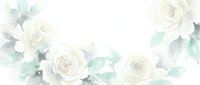 Soft watercolor white roses with green leaves arranged as a delicate floral border on white background, perfect for wedding or greeting card design.