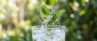 Fresh mint leaves splashing into sparkling water glass with ice cubes on natural green background for refreshing summer drinks and healthy lifestyle.