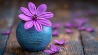 Purple daisy-like flower in turquoise ceramic vase on rustic wooden surface with scattered petals creating serene spa and wellness atmosphere.