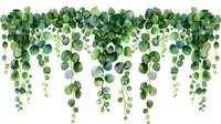 Cascading green eucalyptus leaves forming decorative border arrangement, watercolor style botanical illustration on white background, isolated design element for weddings.