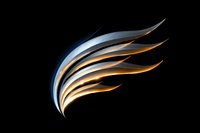 Elegant metallic wing shape with silver and gold curved lines on black background, modern minimalist design for logo and branding projects.