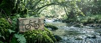 Wooden cycling trail sign with bicycle symbol beside flowing forest stream surrounded by lush green vegetation and moss-covered rocks in natural woodland setting.