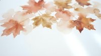Watercolor autumn maple leaves in warm orange and brown tones on white background for seasonal design projects and fall decorations.