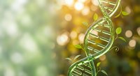 DNA double helix structure with green leaves and golden bokeh light effects representing genetics, biotechnology and natural science research concepts.