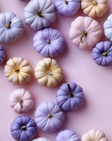Pastel colored decorative pumpkins in purple, cream and pink shades arranged on pink background, creating modern autumn seasonal composition.