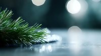 Fresh pine branch with soft bokeh lights on blurred winter background, creating magical holiday atmosphere with snow and frosty effect.
