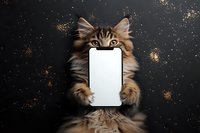 Fluffy tabby kitten holding blank white smartphone screen against dark starry background with golden sparkles for mockup and advertising designs.