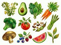 Isolated vegetables, fruits, and mushroom on white background. Fresh produce including avocado, tomato, broccoli, carrots, asparagus, berries, and watermelon. Suitable for recipe design, nutrition guides, and culinary projects.